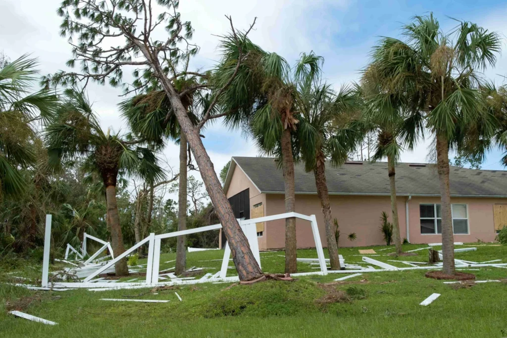 Residential property with damaged palm trees and broken white fence on green lawn.